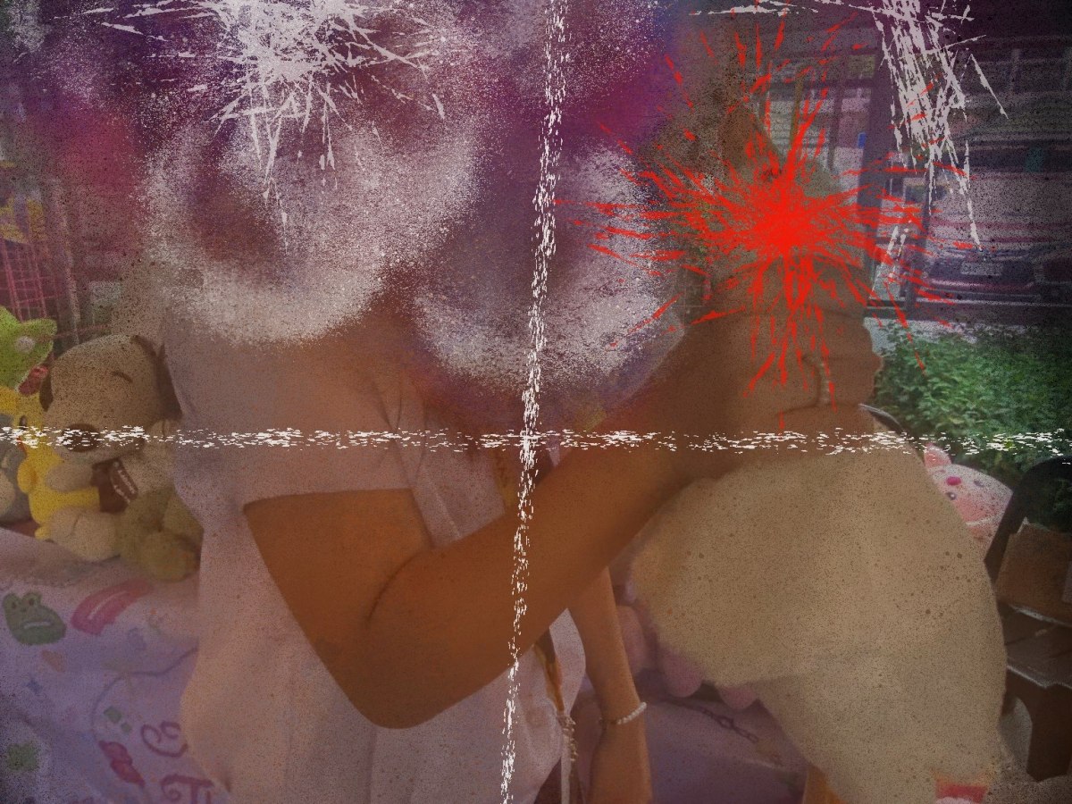 Stuffed Duck On&nbsp;Trial